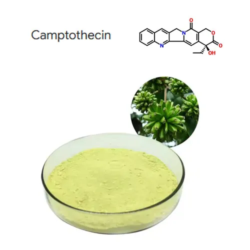 نقاء عالية 98 ٪ Camptothecin استخراج مسحوق CAS 7689-03-4
